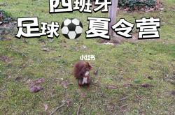 爱游戏APP-西班牙教练将组织足球夏令营活动