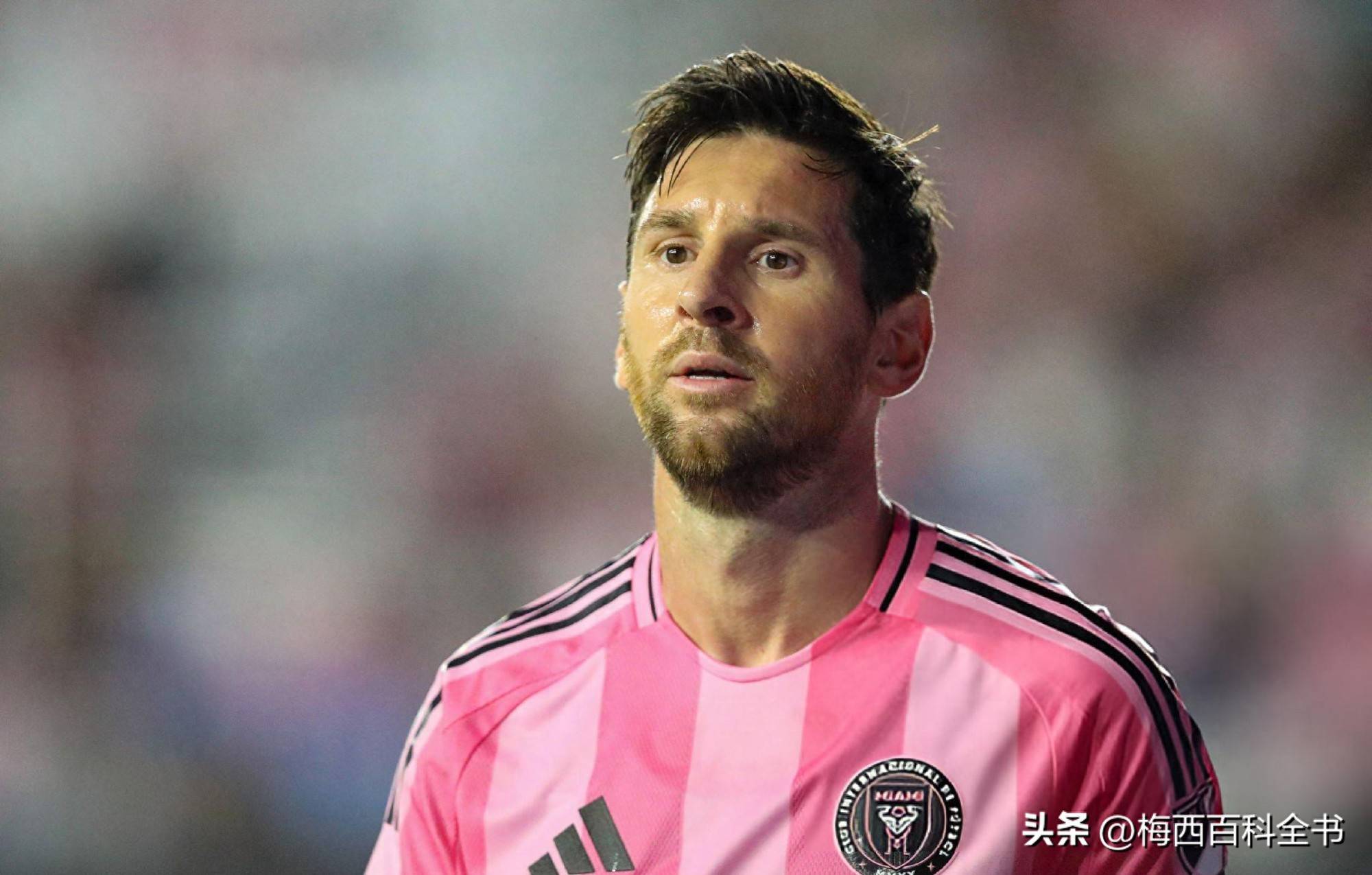 比利时球员在国际赛事中斩获进球王 比利时球员在国际赛事中斩获进球王