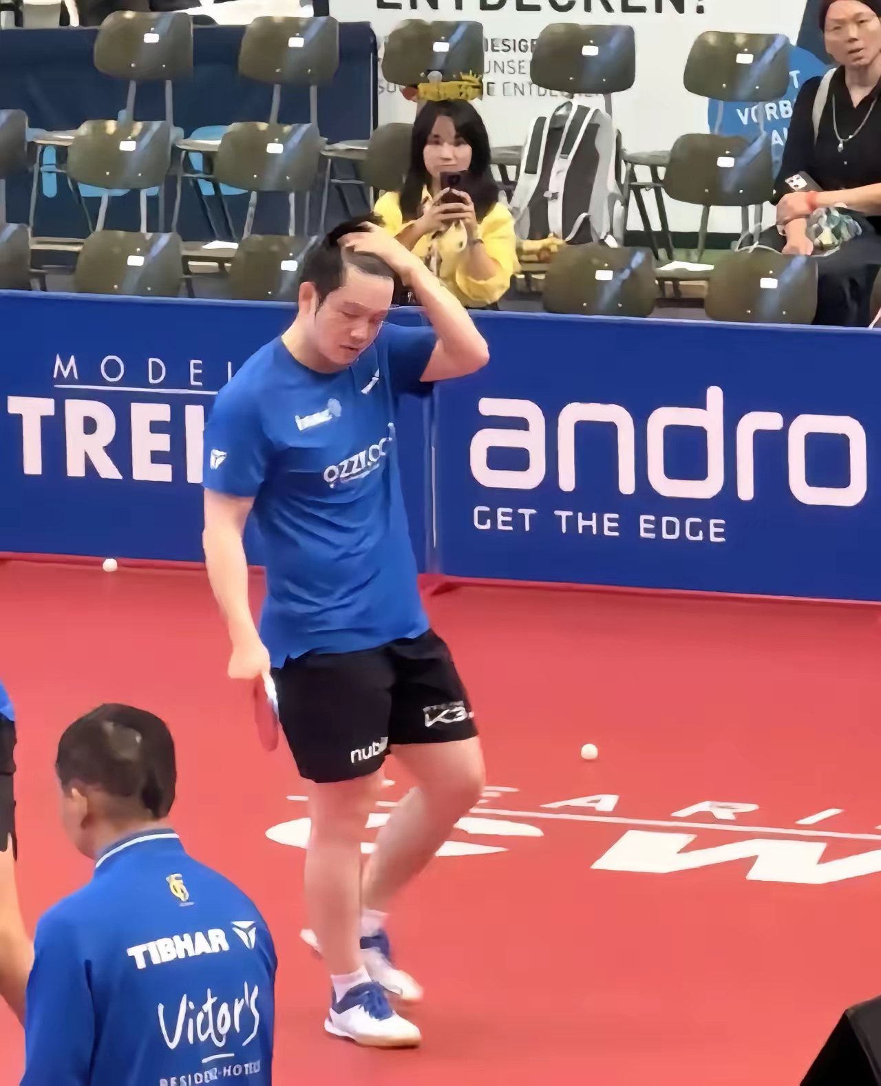 波兰乒乓球队轻取比利时乒乓球队，樊振东爆发神勇的简单介绍