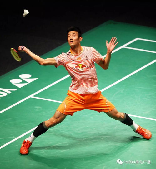 丹麦羽毛球队险胜印尼羽毛球队，谌龙关键制胜的简单介绍
