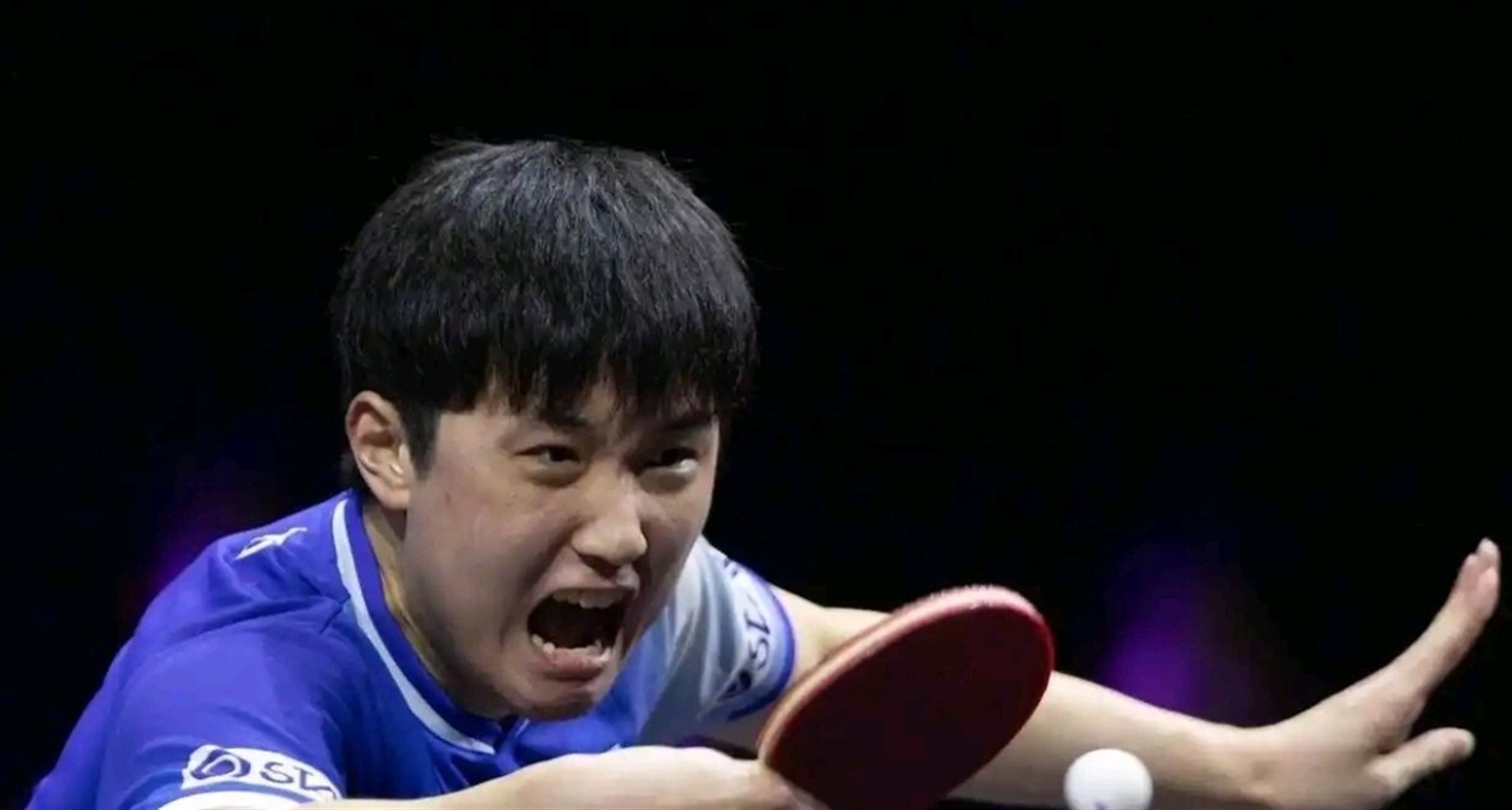 关于葡萄牙队鏖战法国队,张本智和点燃赛场的信息 关于葡萄牙队鏖战法国队,张本智和点燃赛场的信息