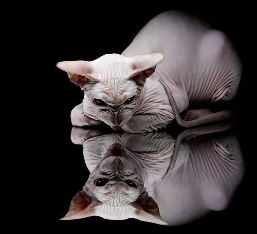 英超争冠之夜，布伦森彻底打爆防线