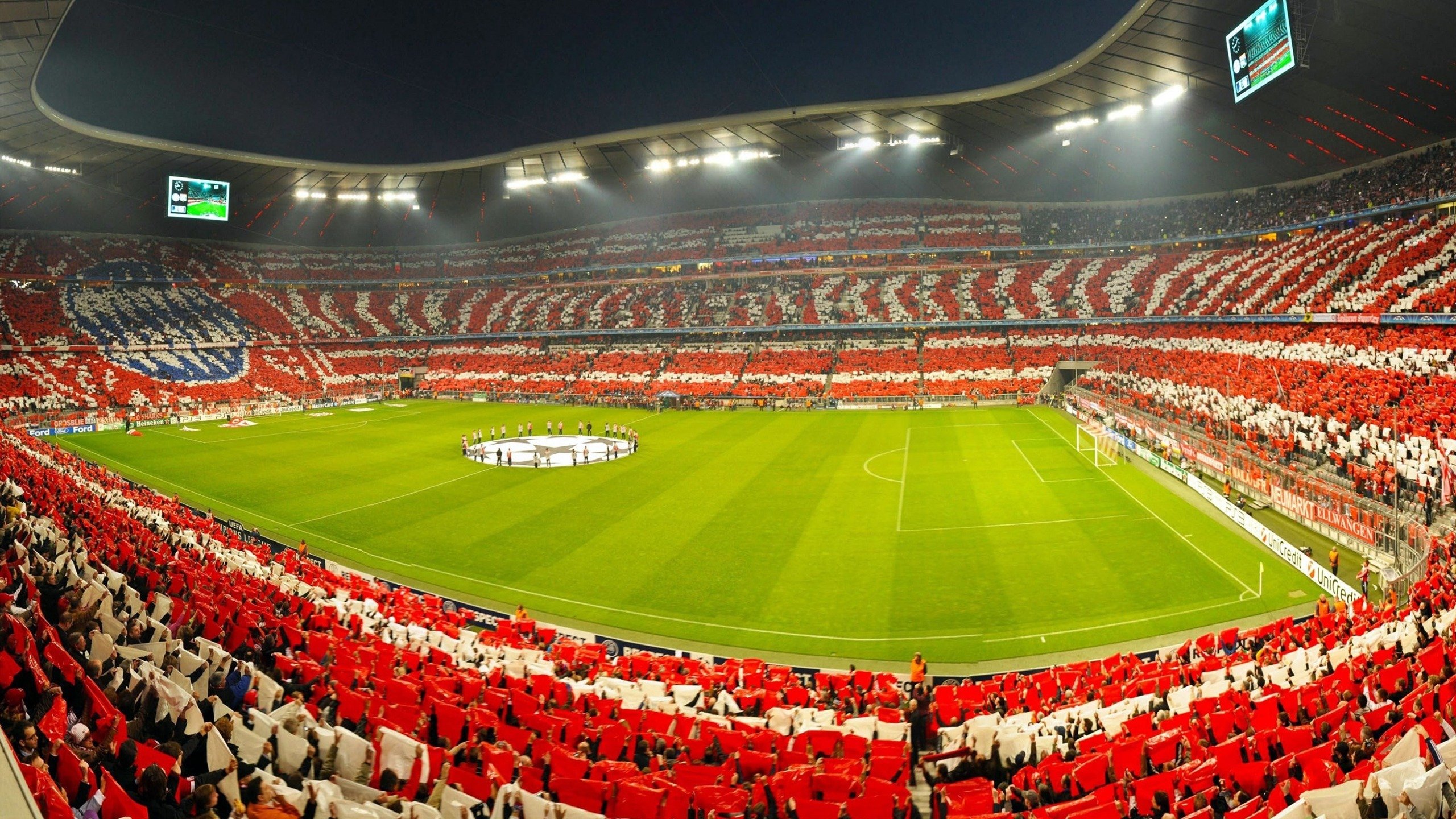 波尔领衔奥地利队鏖战德国队，坚韧意志铸就历史性胜利